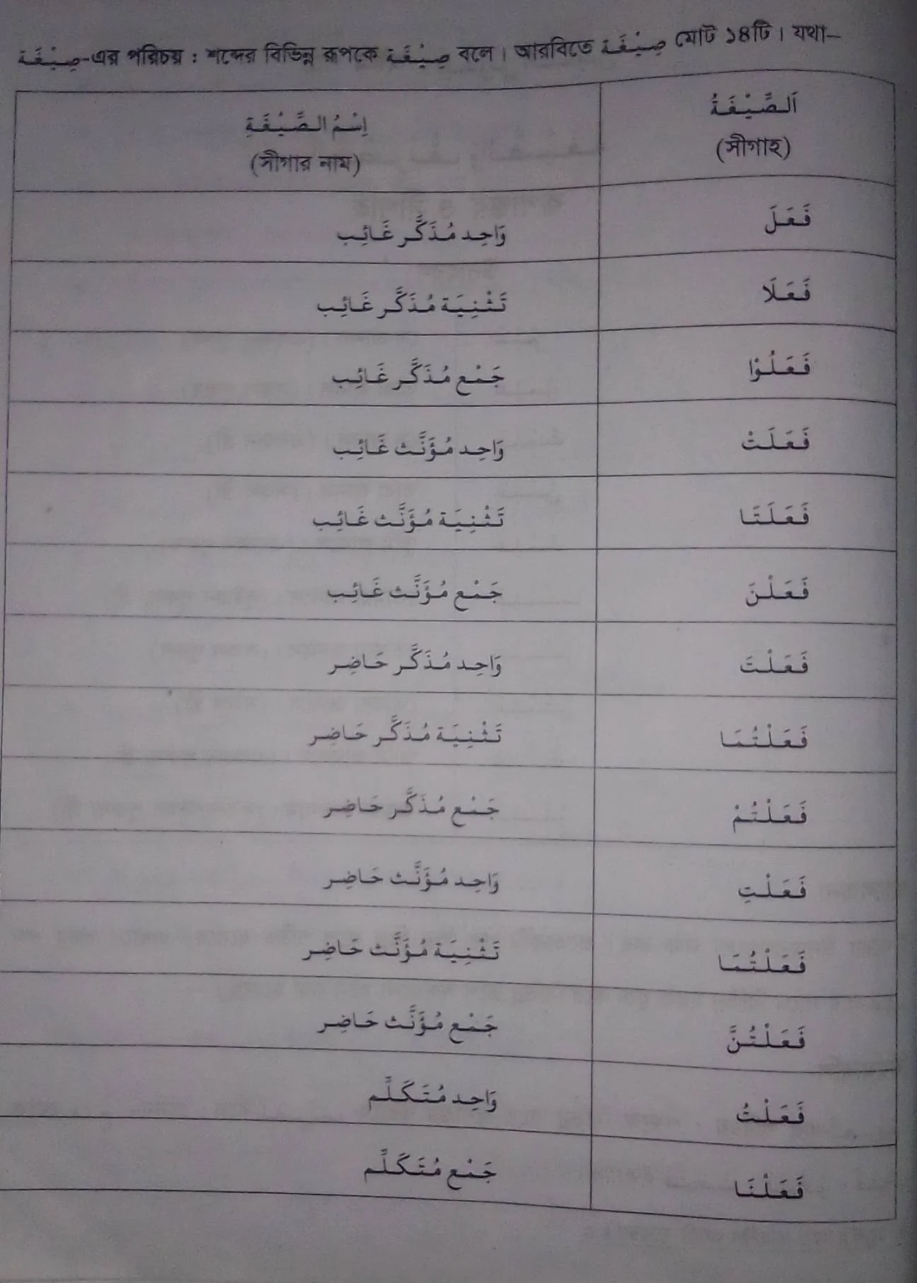 সীগাহ কাকে বলে